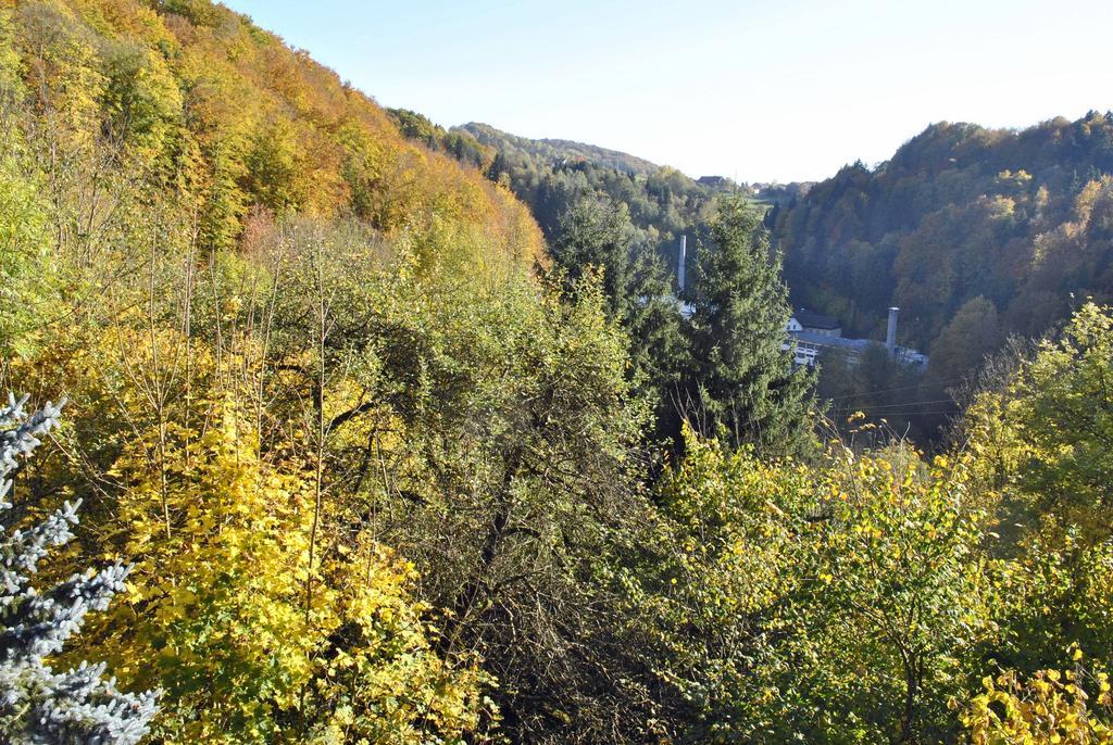 Fewo Radi An Der Buchberger Leite Apartment Hohenau Luaran gambar