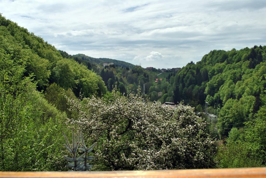 Fewo Radi An Der Buchberger Leite Apartment Hohenau Luaran gambar