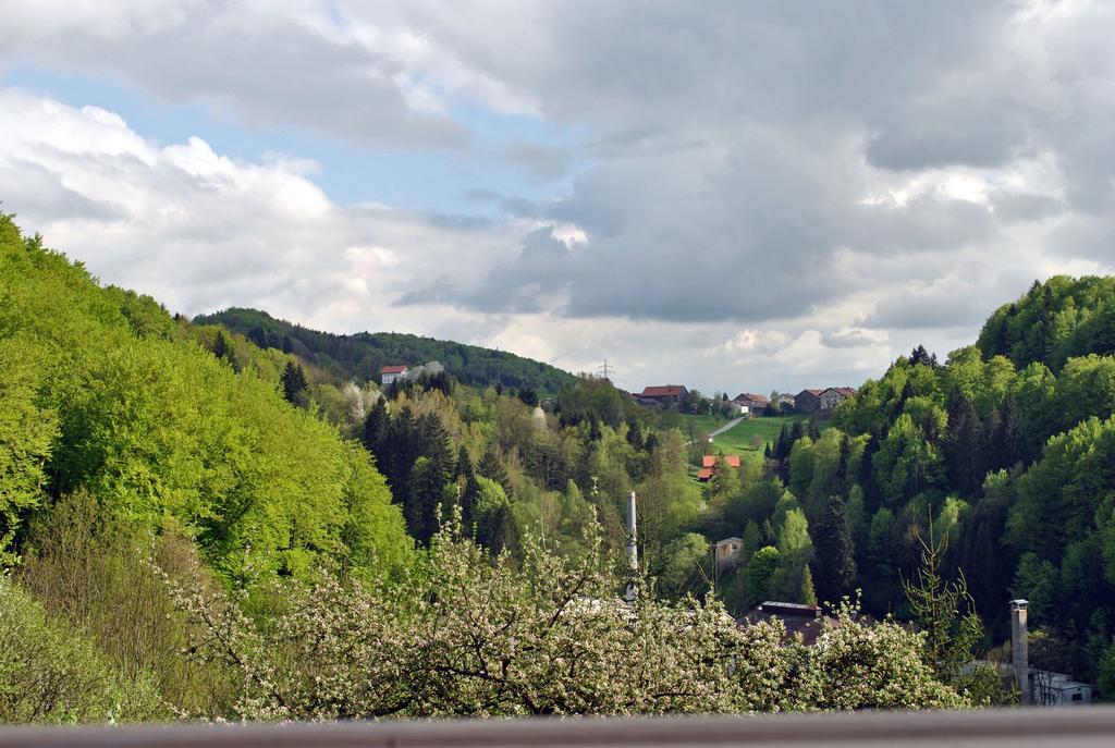 Fewo Radi An Der Buchberger Leite Apartment Hohenau Luaran gambar